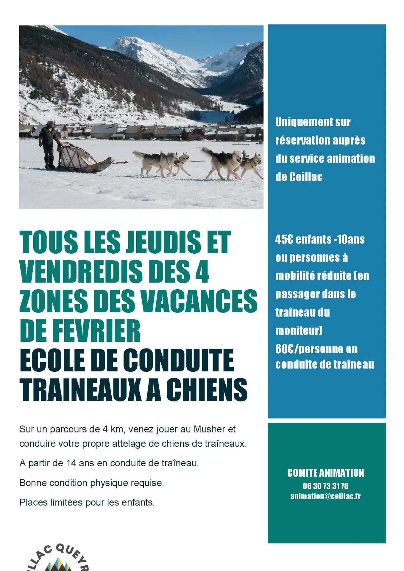 Affiche chiens de traineaux