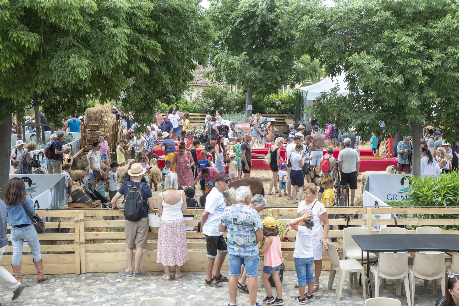 Foire de la Laine