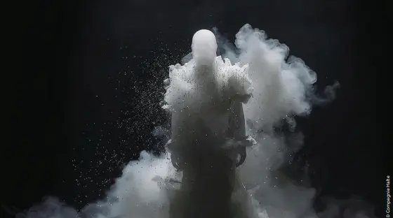 Inachevé, un fantôme dans l'opéra..._Roanne