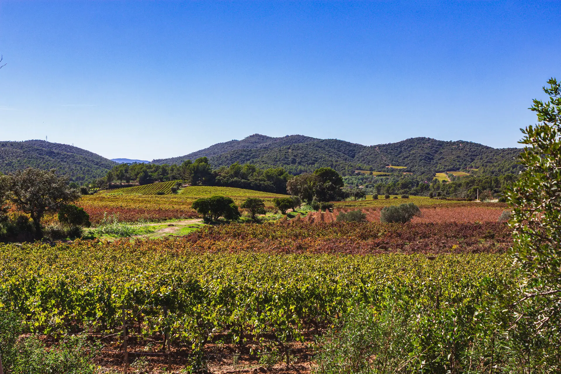 Domaine du Favanquet