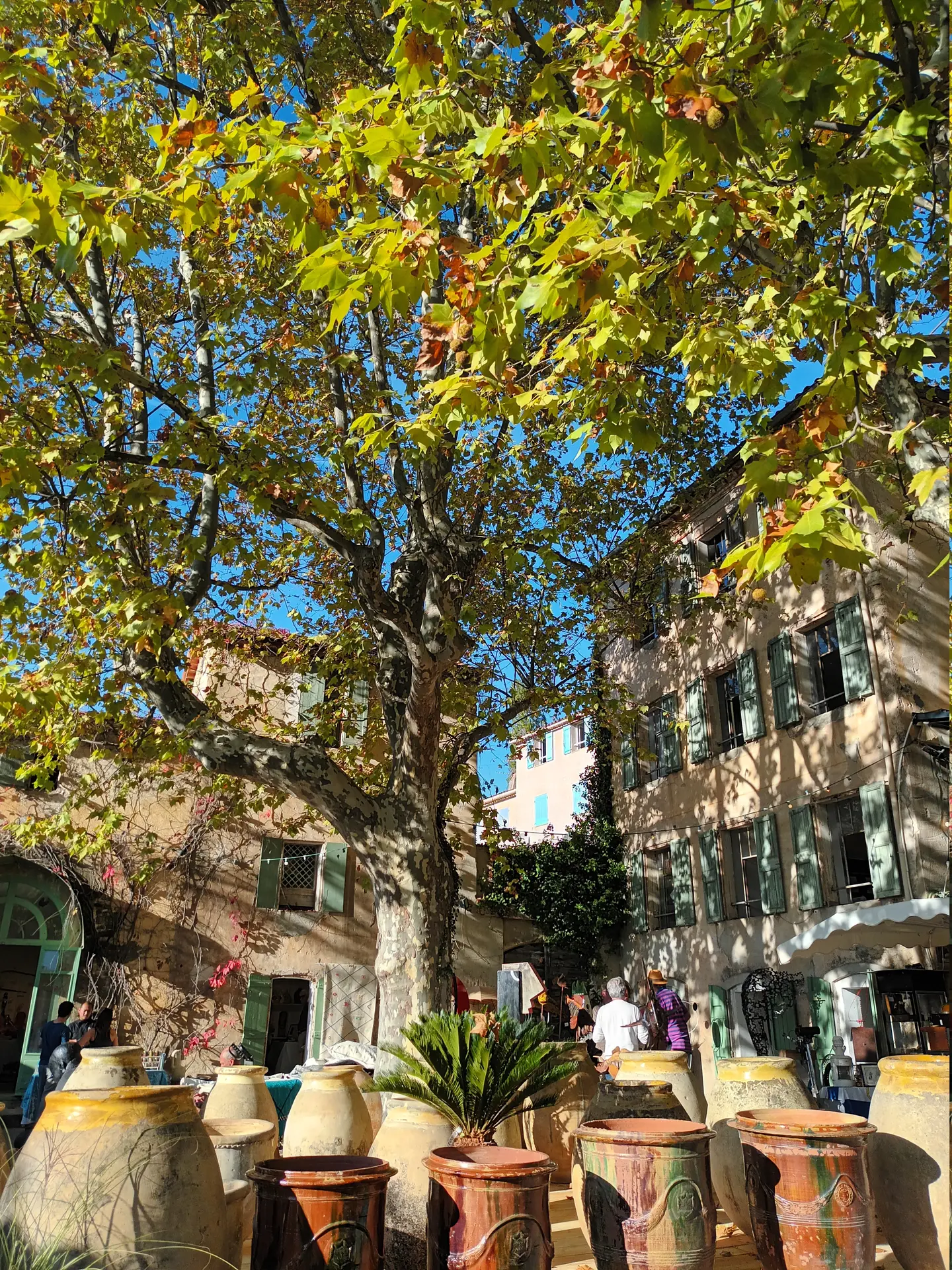 le grand jardin
