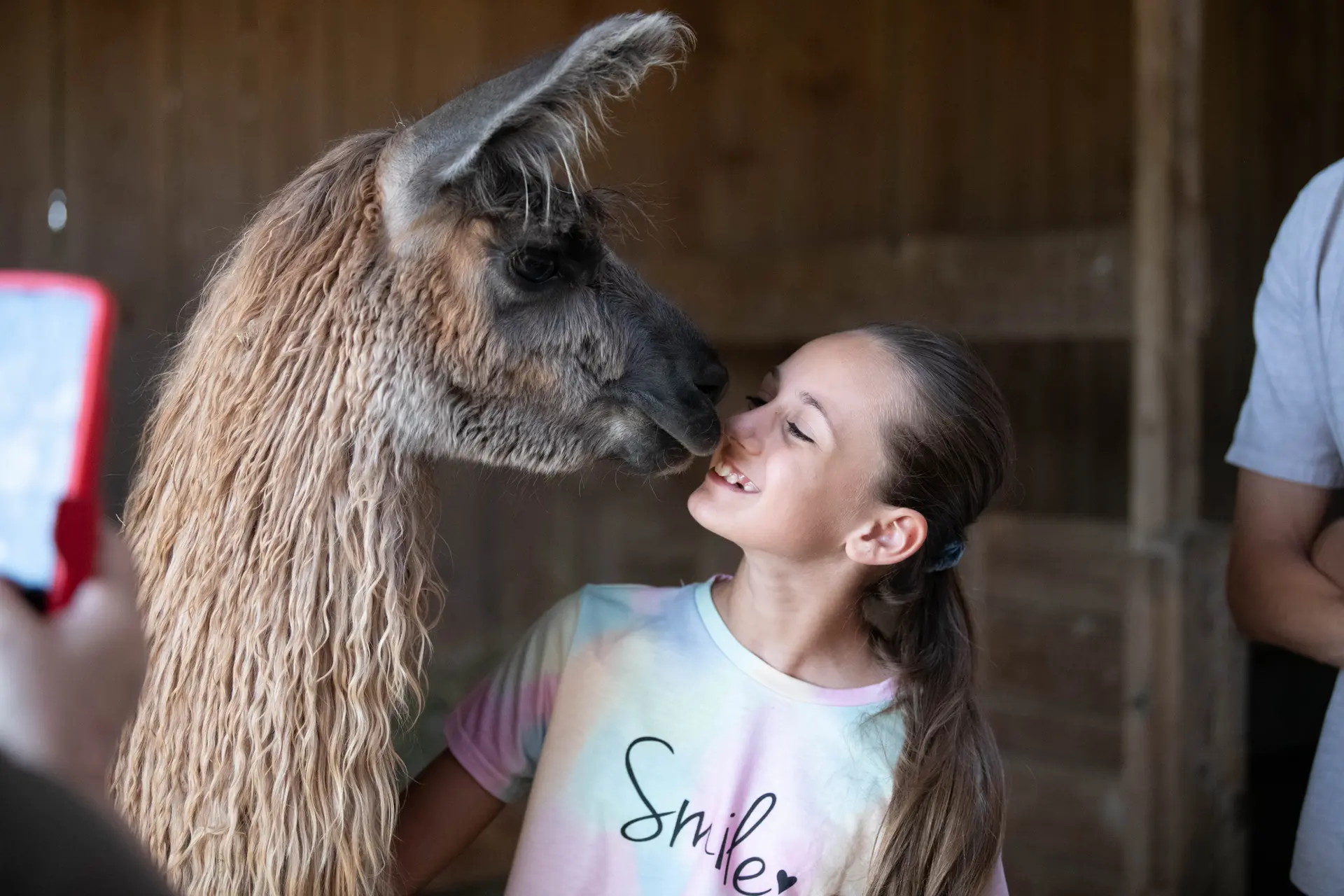 Visite aux lamas des plaines