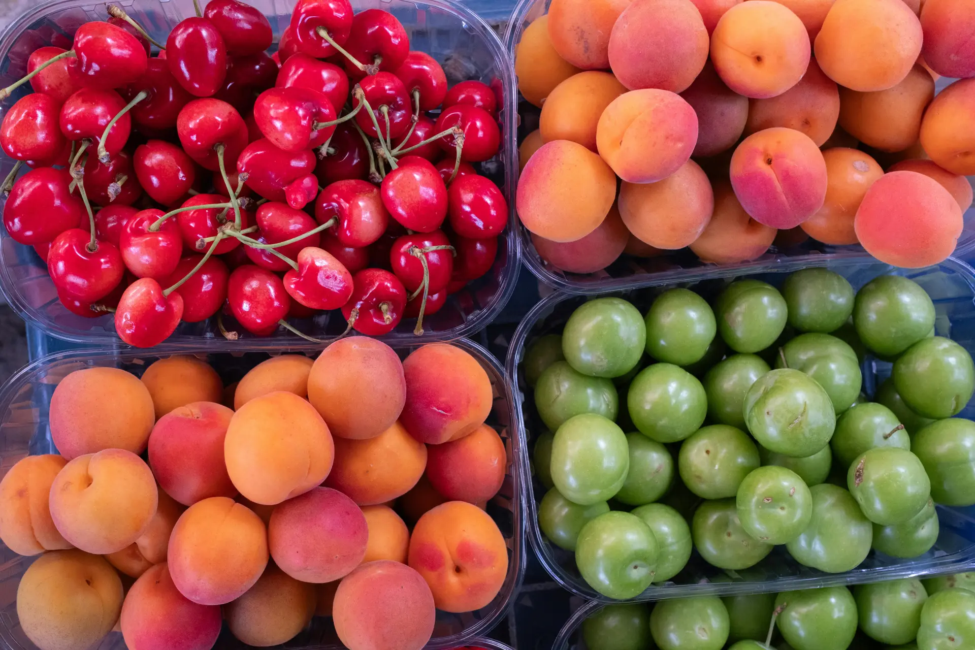 Conférence : Fruits et arbres fruitiers dans les Basses Alpes