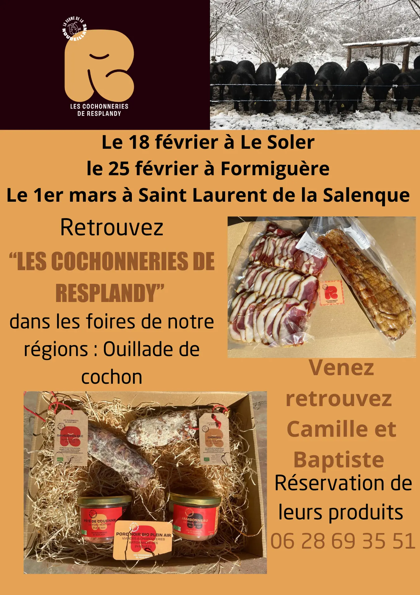 affiche des foires