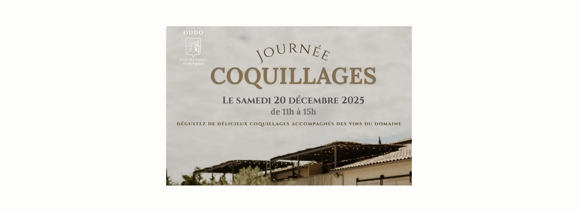 Journée coquillages au Domaine Vallon des Glauges_Eyguières_20.12.25