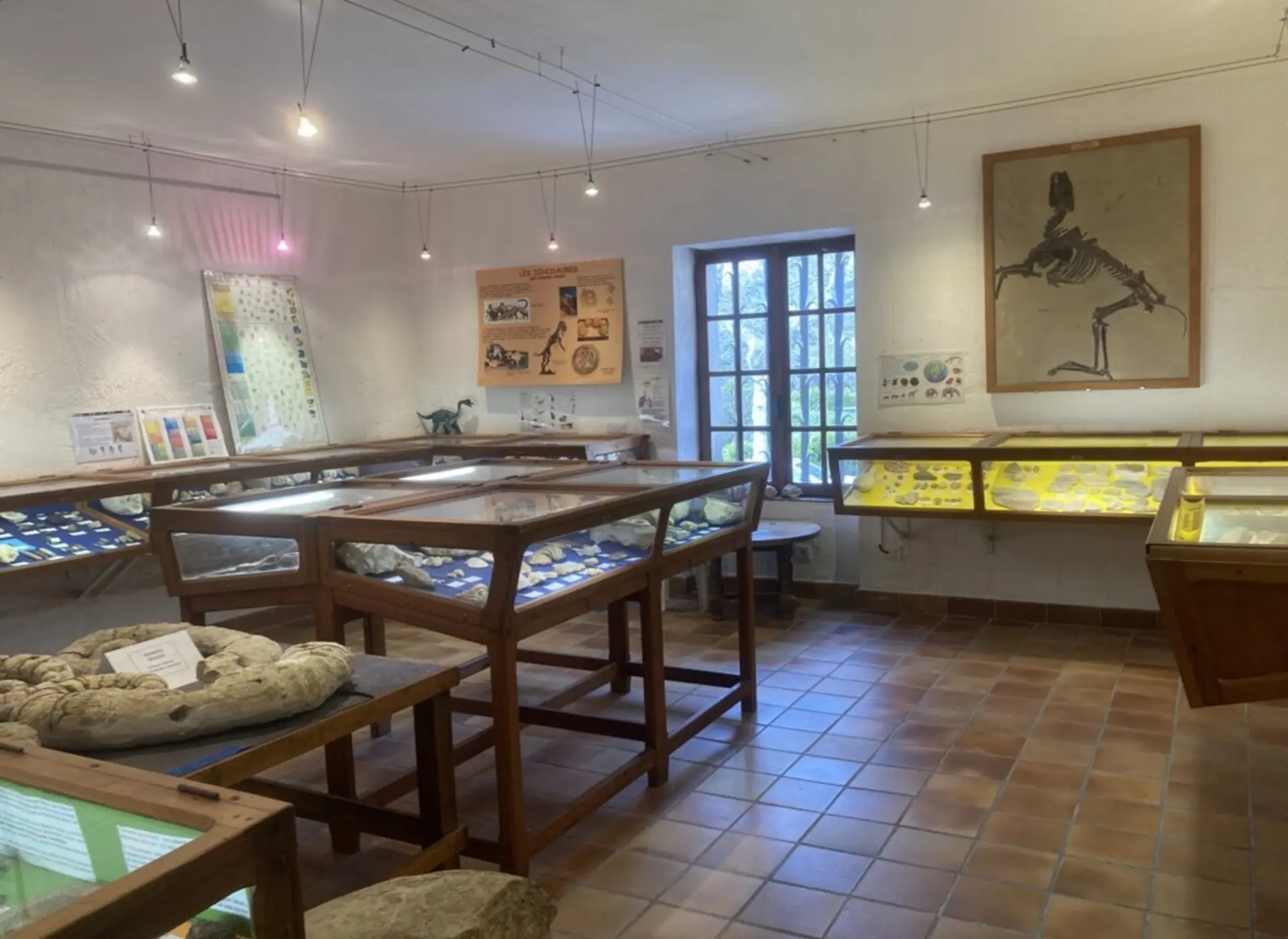 Musée