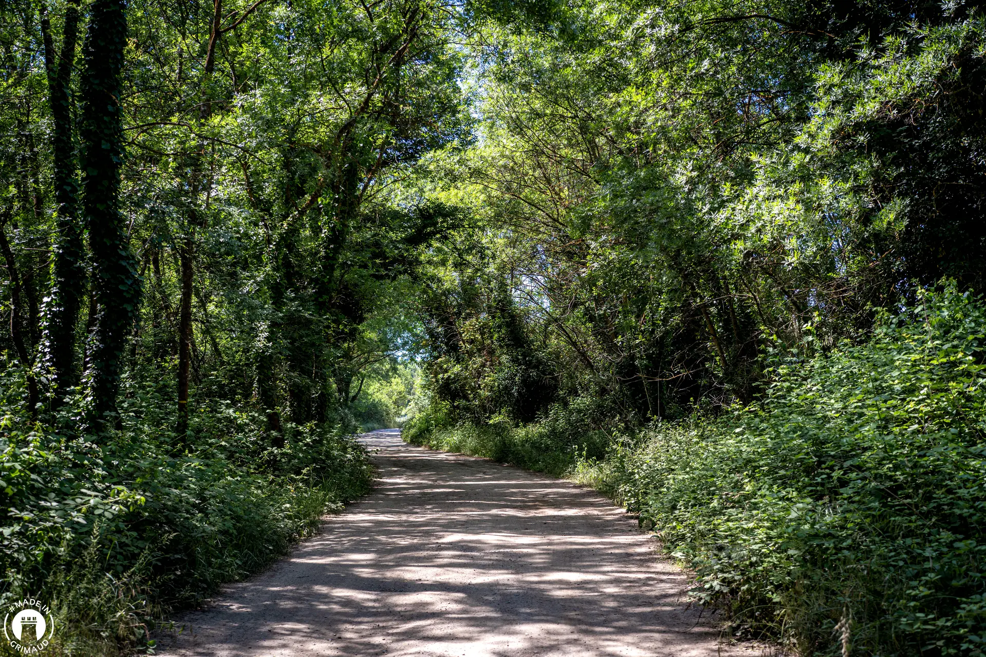 Sentier du Peyron Grimaud