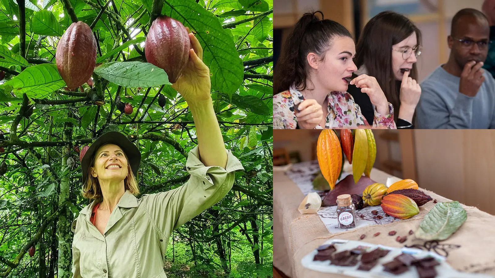 L'Expérience de dégustation immersive Cacao & Chocolat_Carrières-sur-Seine