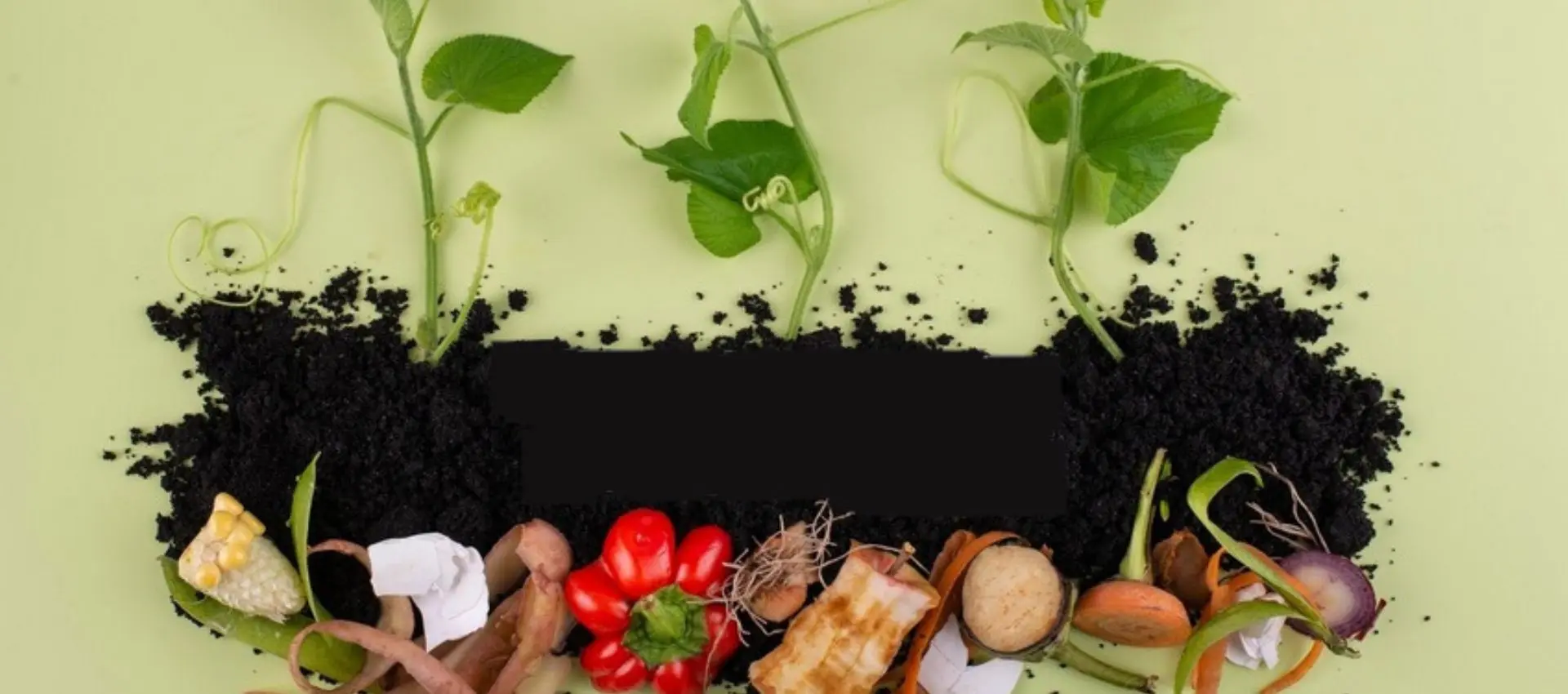 Ateliers récup : recyclage tout en couleurs_Sainte-Maxime