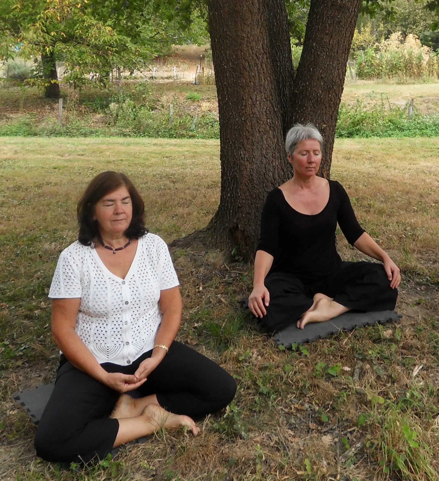 Mouvement et fluidité
