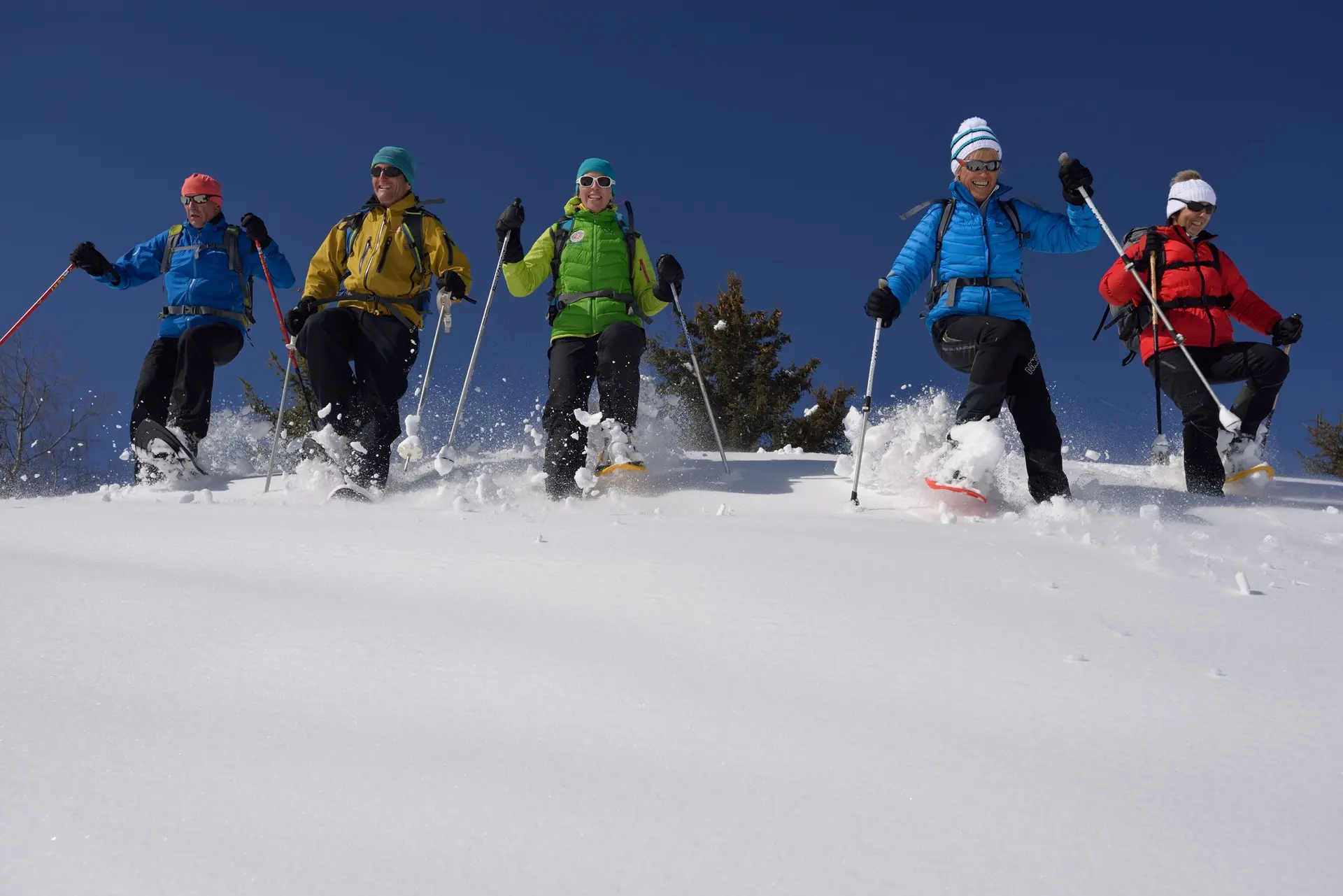 Raquette avec les AEM