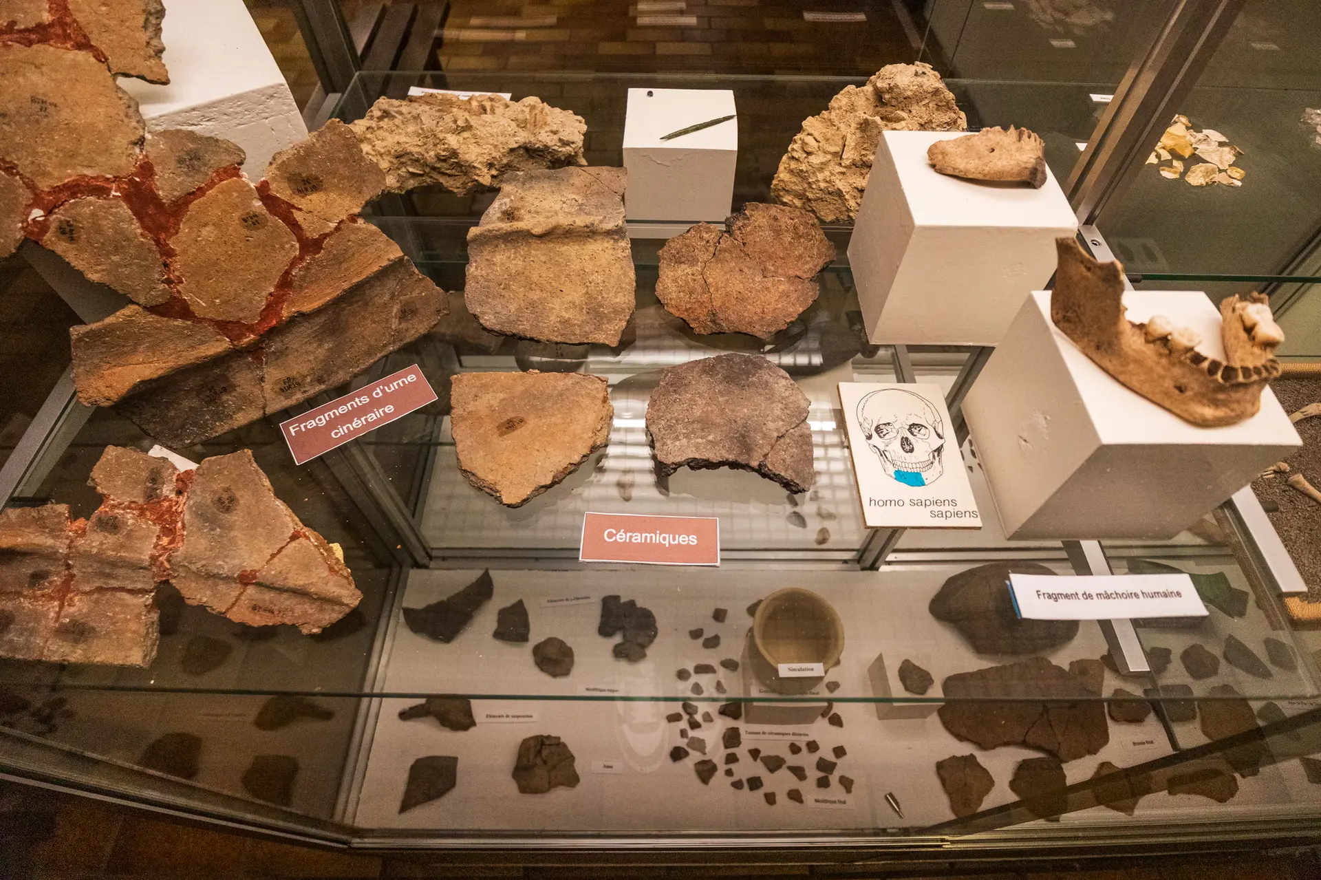 artefacts préhistoriques au musée de Thônes, retrouvé lors des fouilles archéologiques