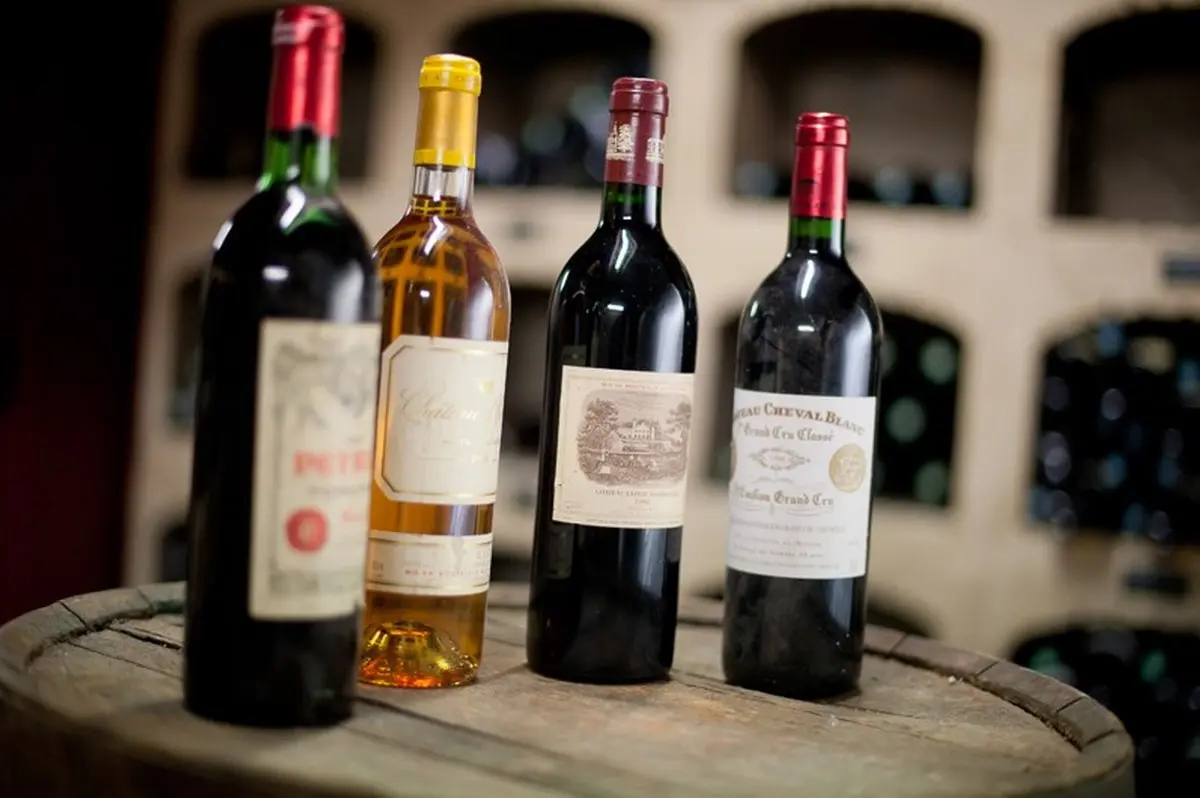 Dégustation de vin au Château des Comtes de Challes