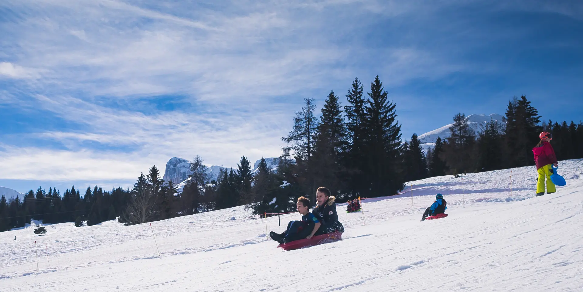 Course de luge