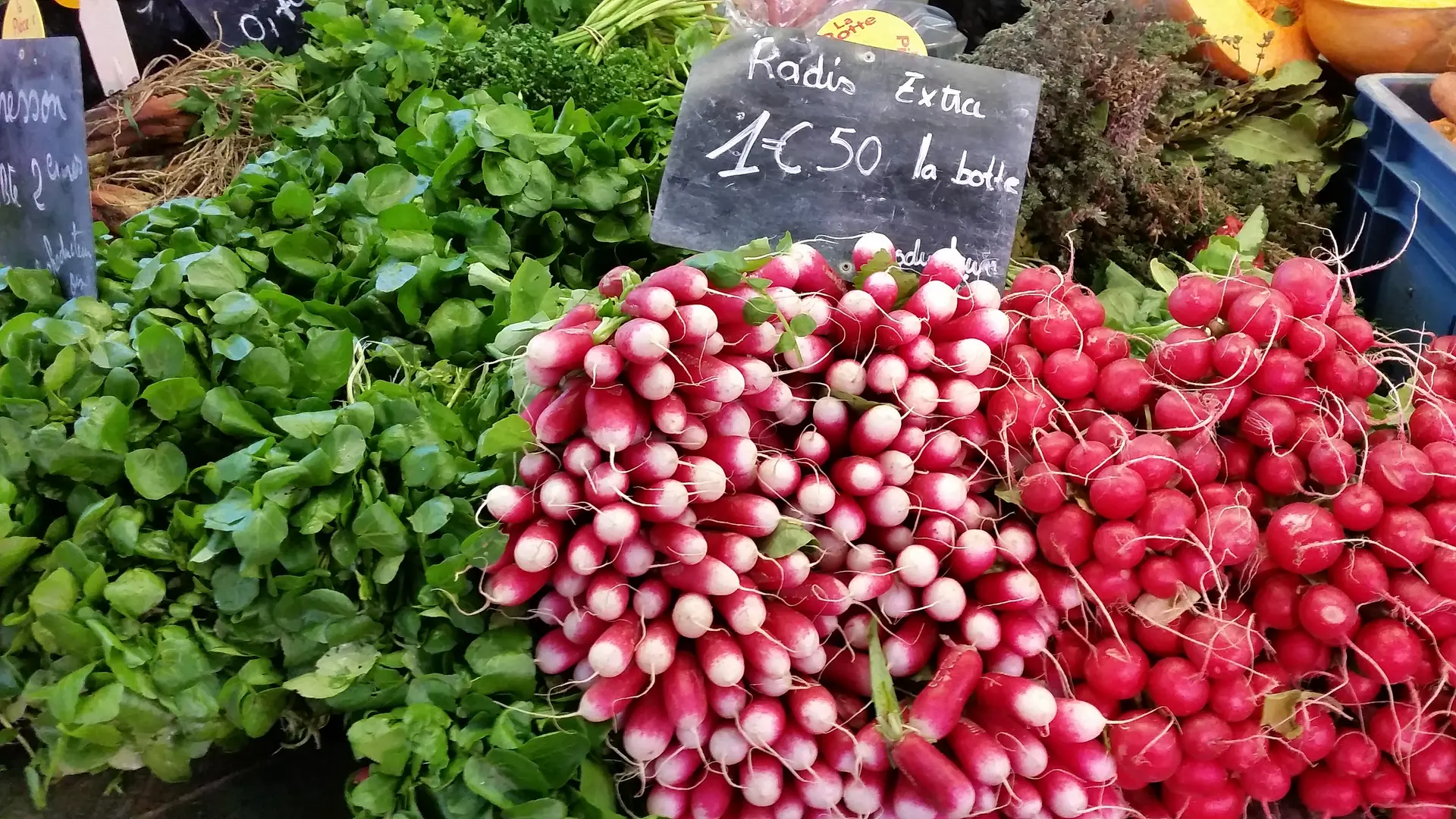 Stand de Légumes - Marché de Saint-Denis