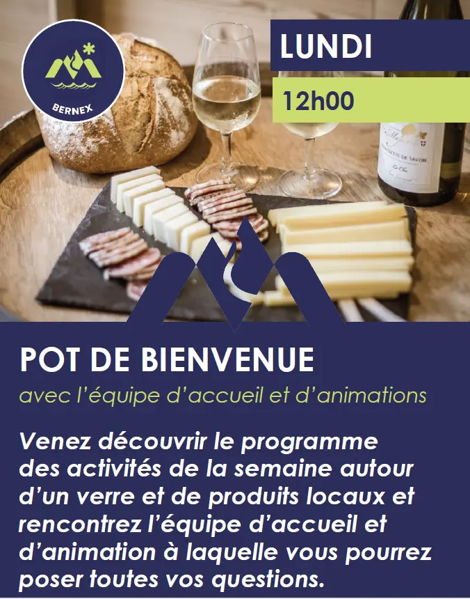 affiche de l'animation