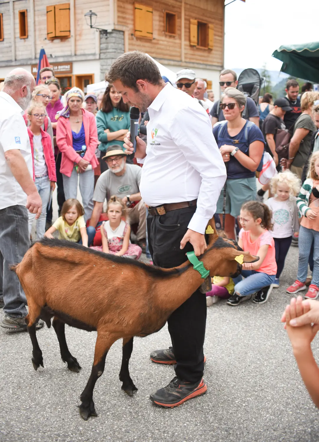 Présentataion des arces de chèvres