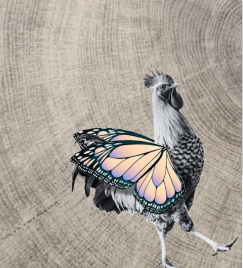 Une chenille dans le coeur_Marseille