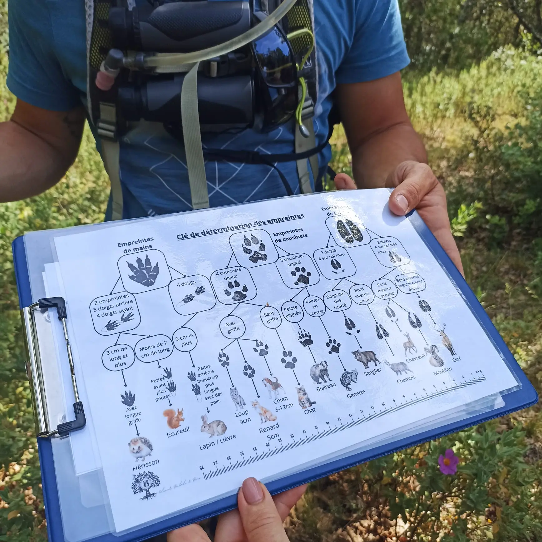 Balade sur les traces des loups Pierrefeu du Var