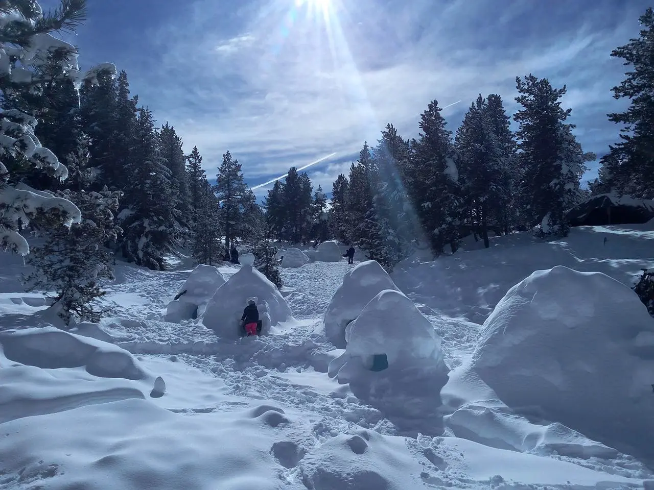 Village d'igloo