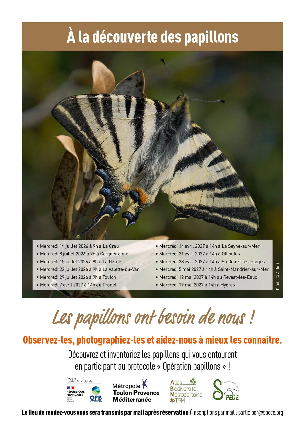 AFFICHES Découverte A4 V053