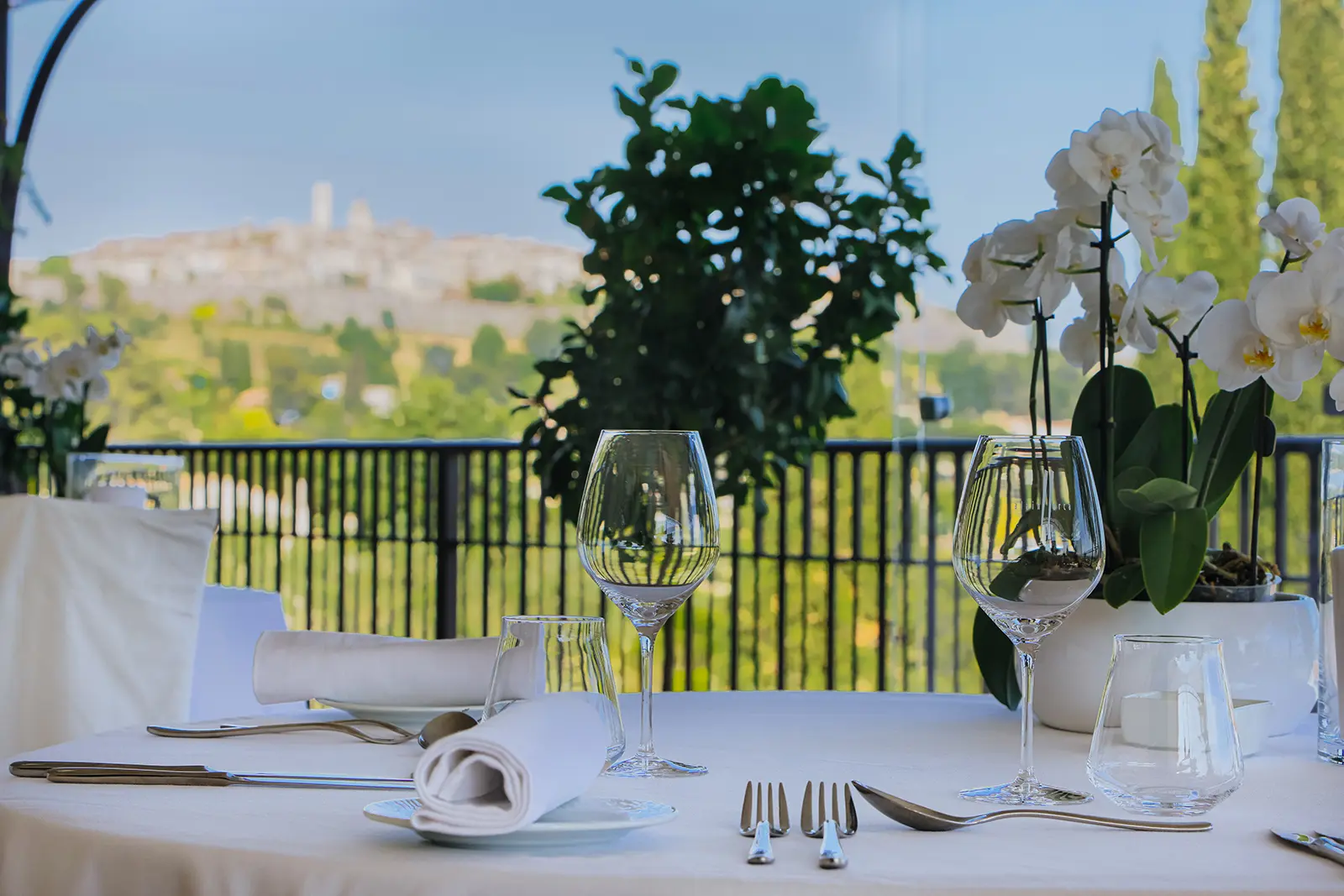 Au jardin d'Alain Llorca