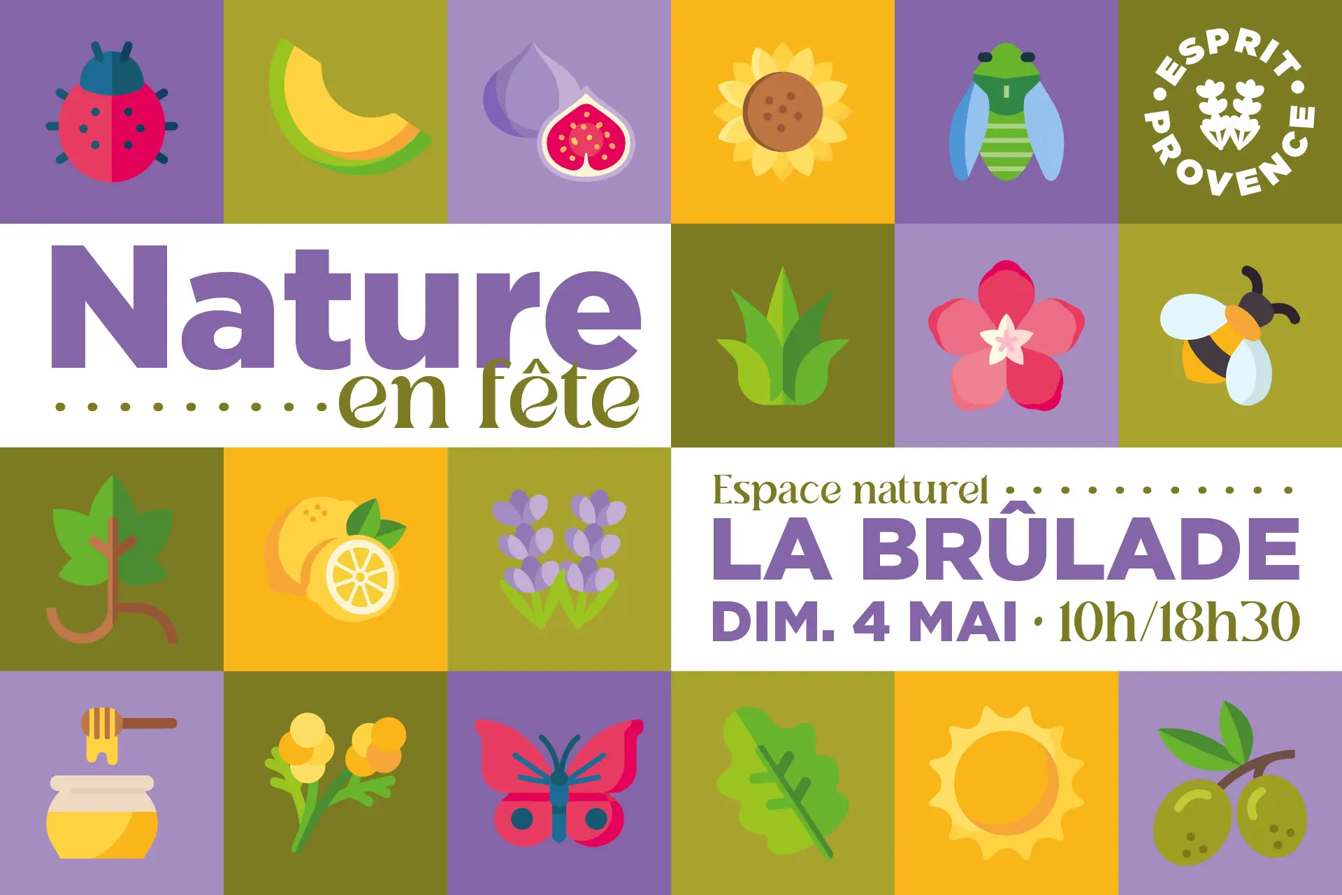 Les animations nature en Méditerranée Porte des Maures