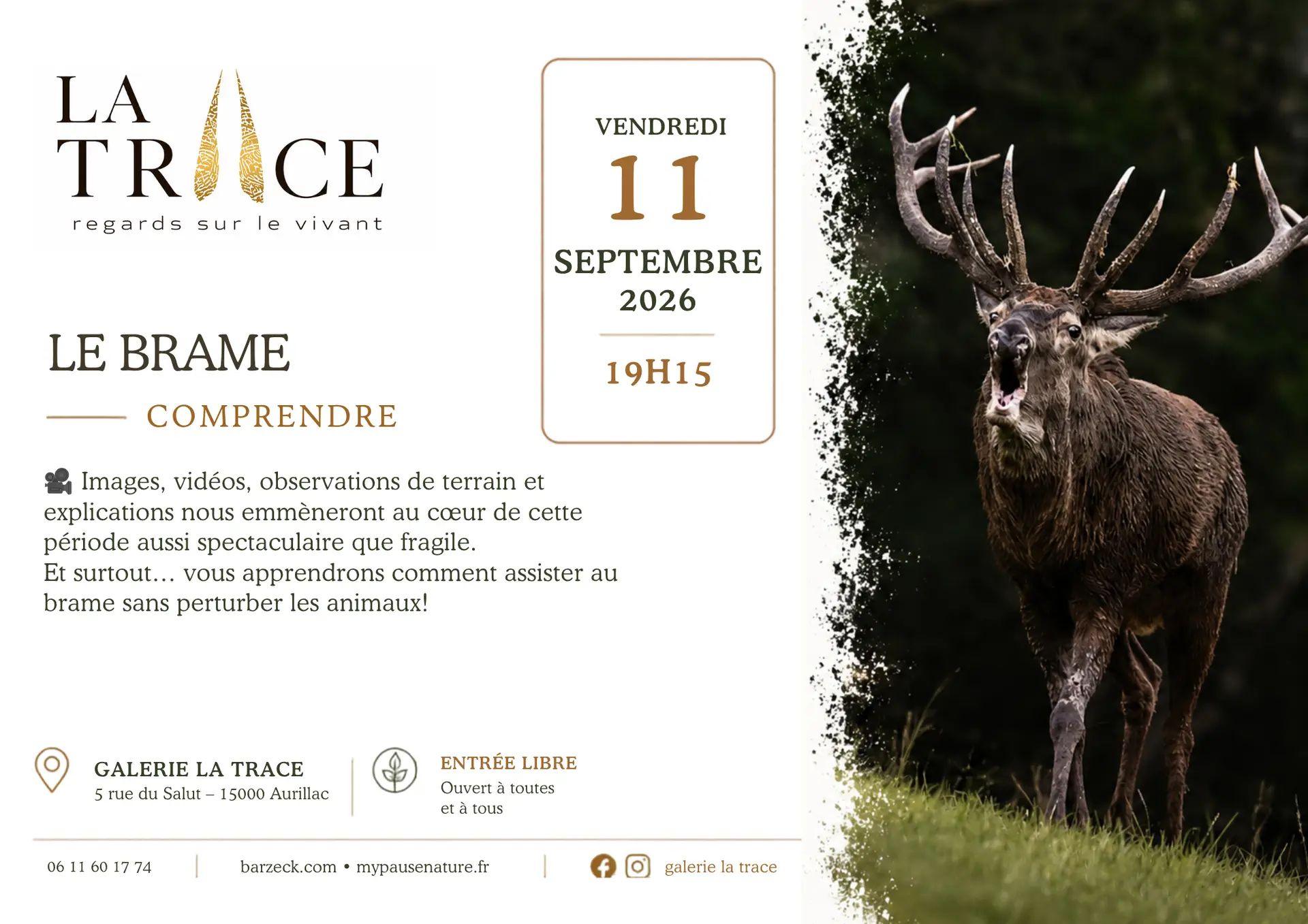 Affiche
