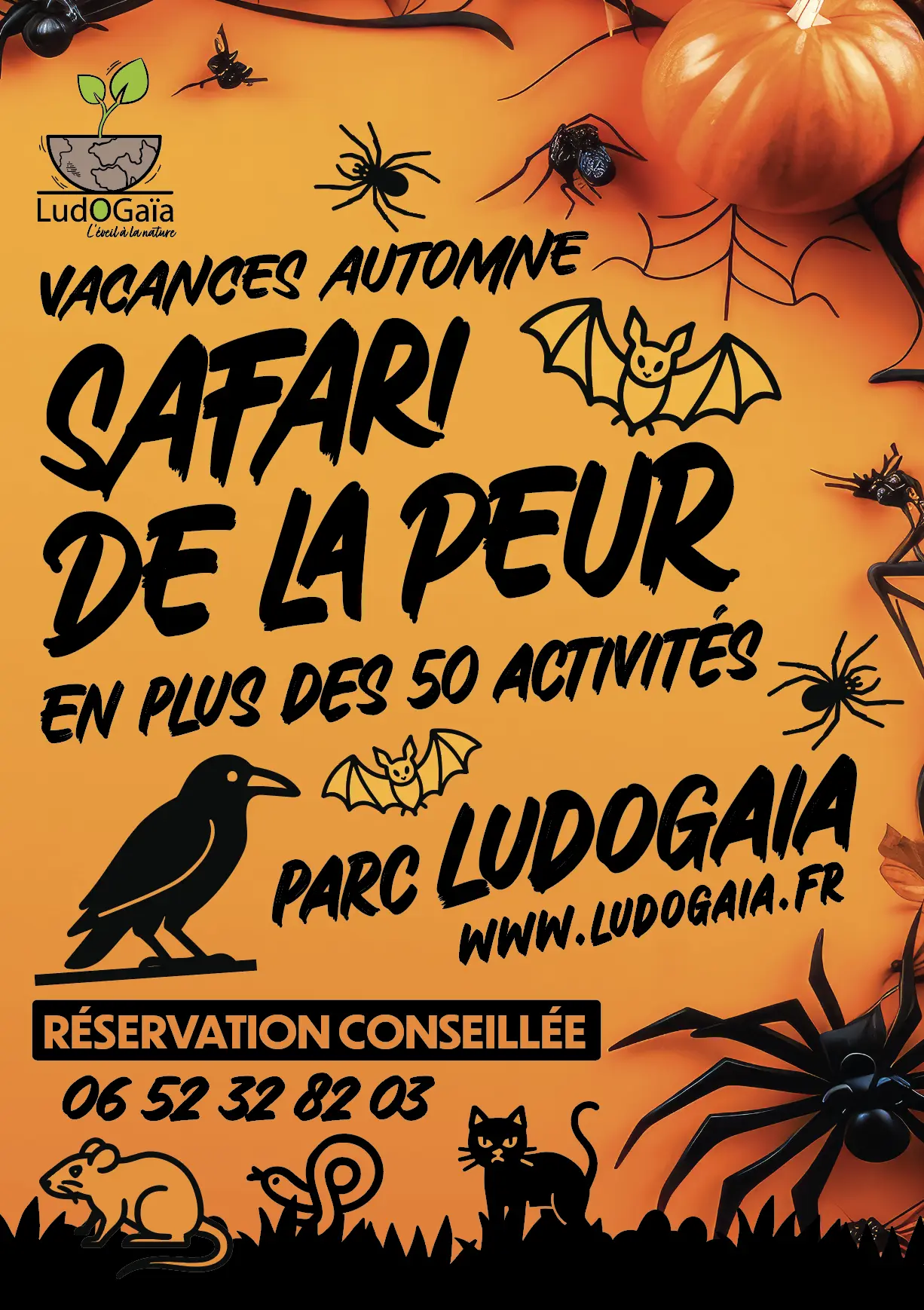 Animation enffant, le safari de la peur à LudoGaïa