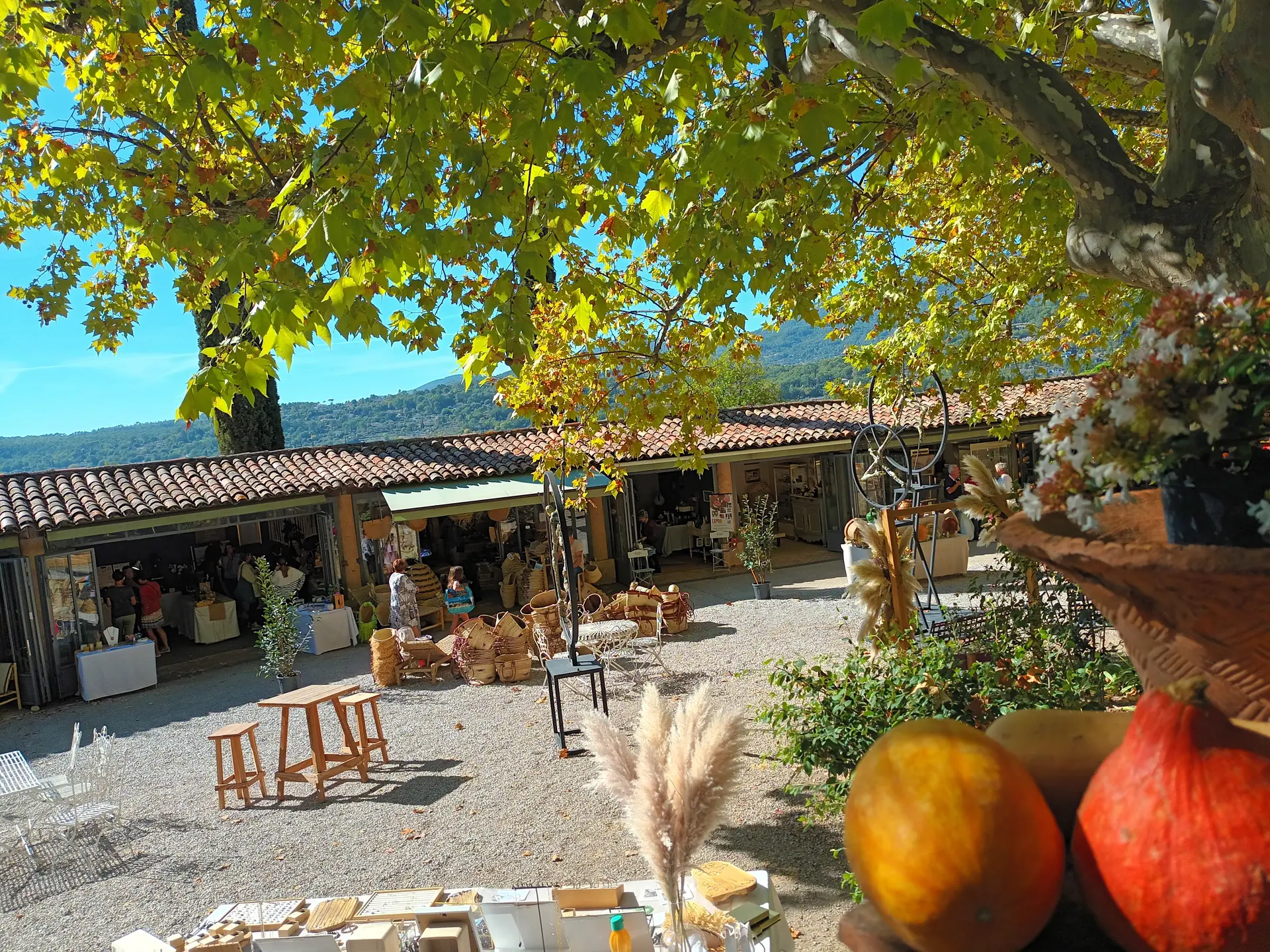 le grand jardin