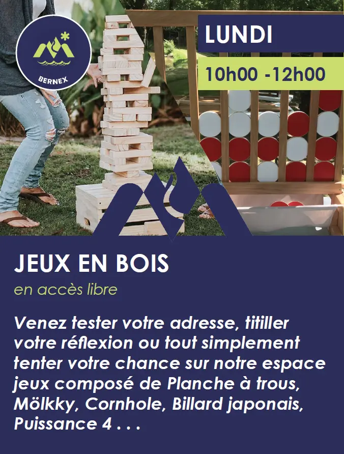 affiche de l'animation