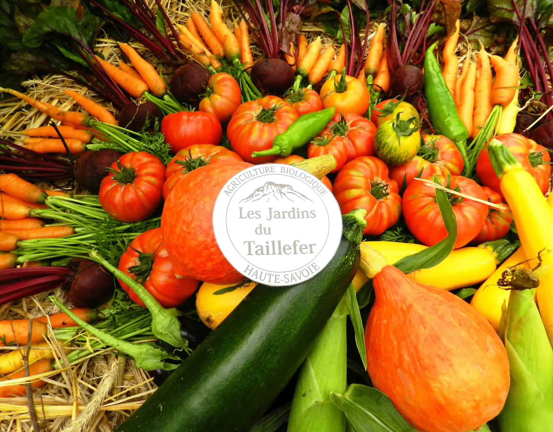 Légumes Bio