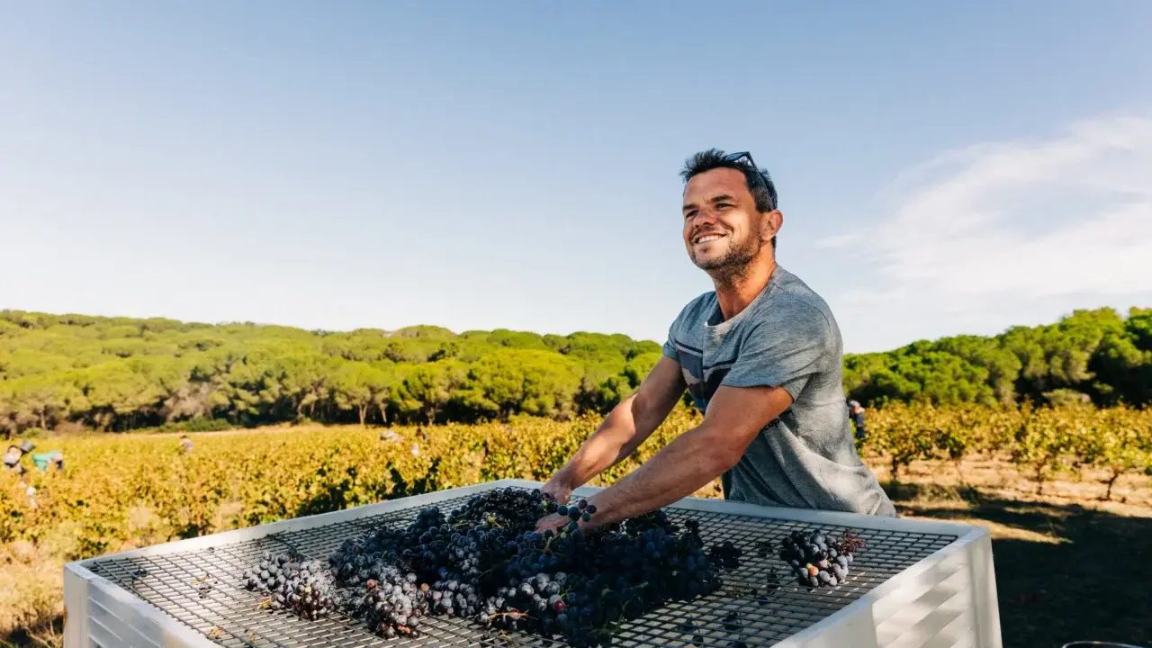 Dégustation des vins d'Edouard Santax_Saint-Ouen