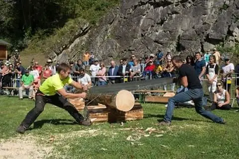 Fête des Bucherons