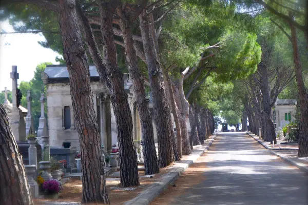 Le Cimetière Saint Pierre