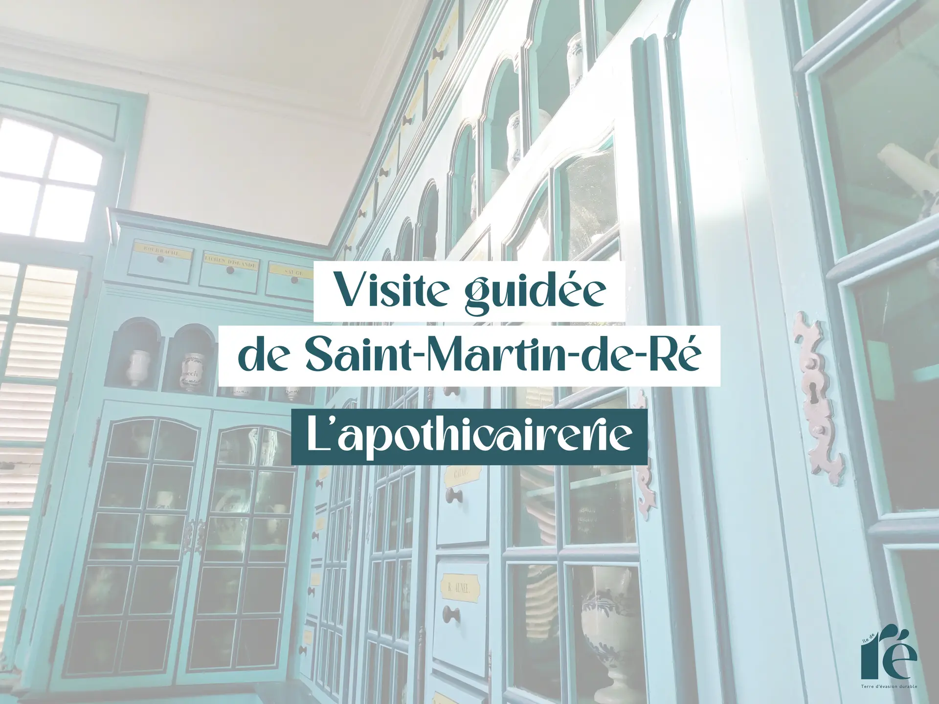 Visita visual de la botica