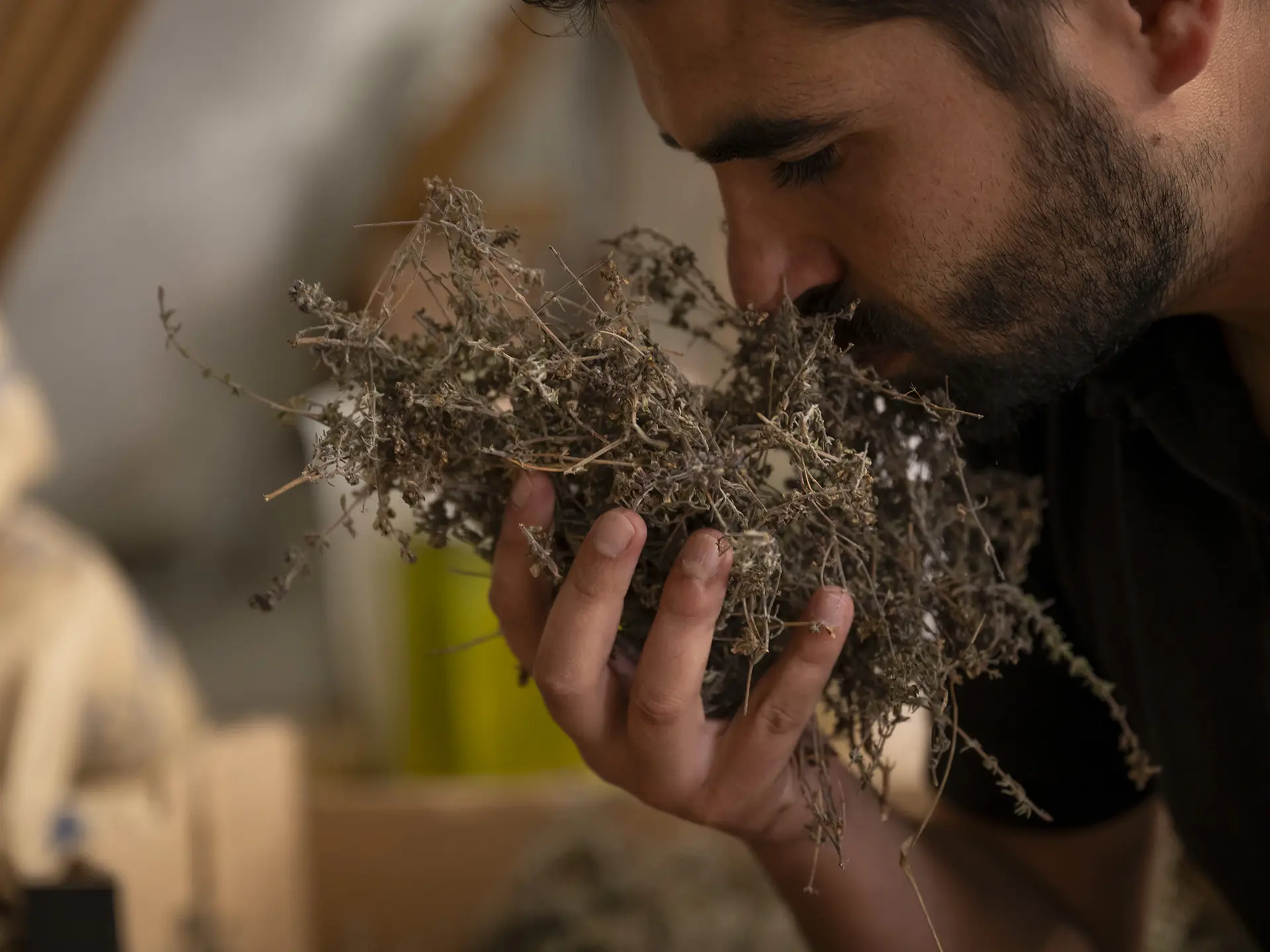 Visite de la liquoristerie La Vinciane