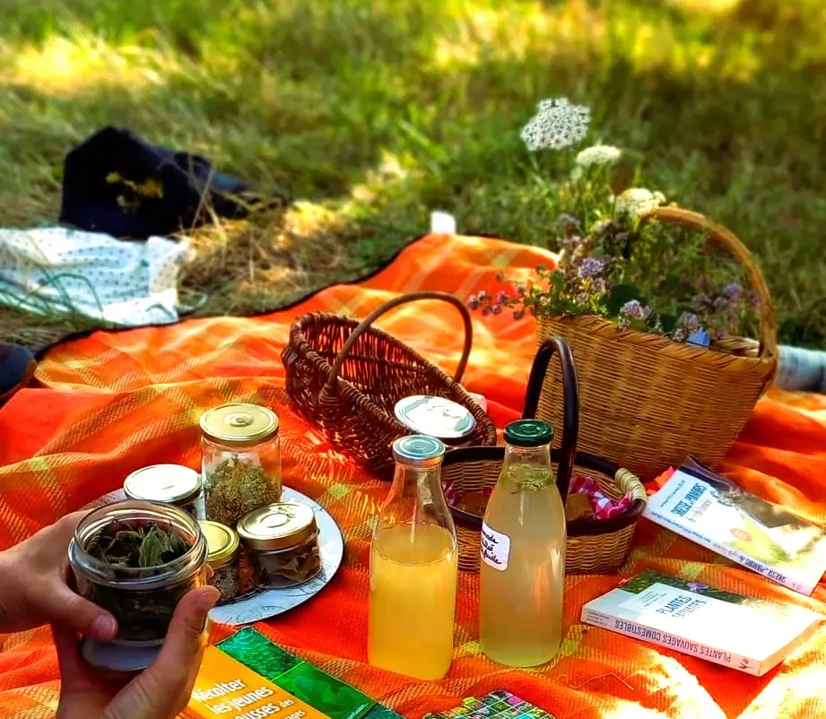 Dégustation boisson sauvage