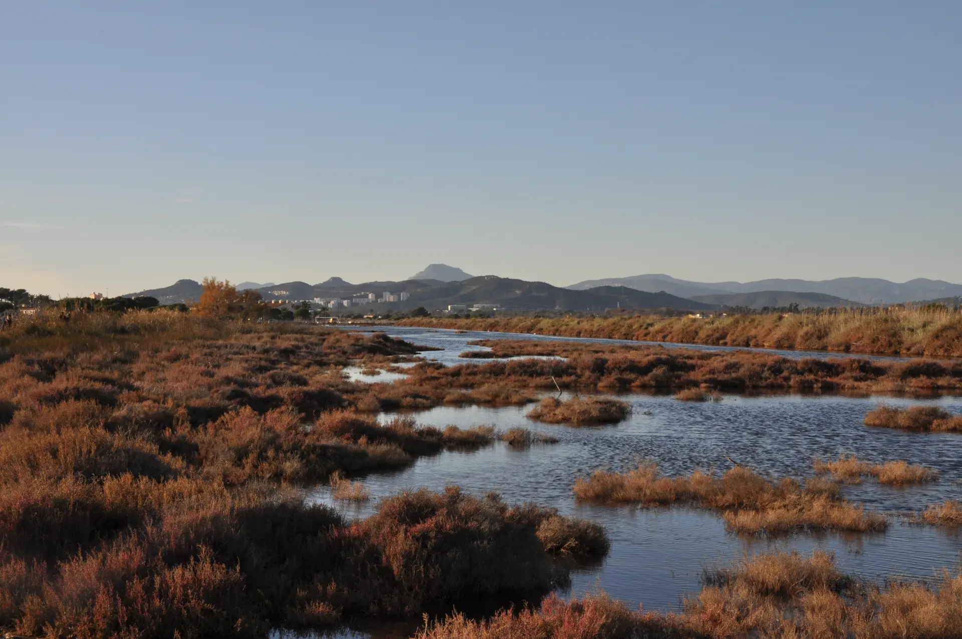 salin hyeres patrimoine pesquiers sel