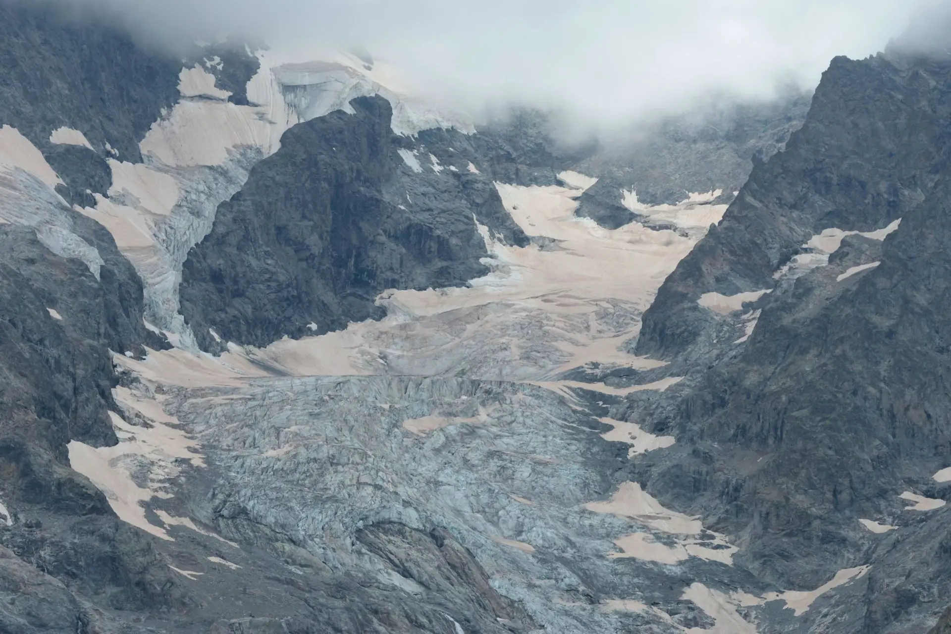 couleuvre verte et jaune