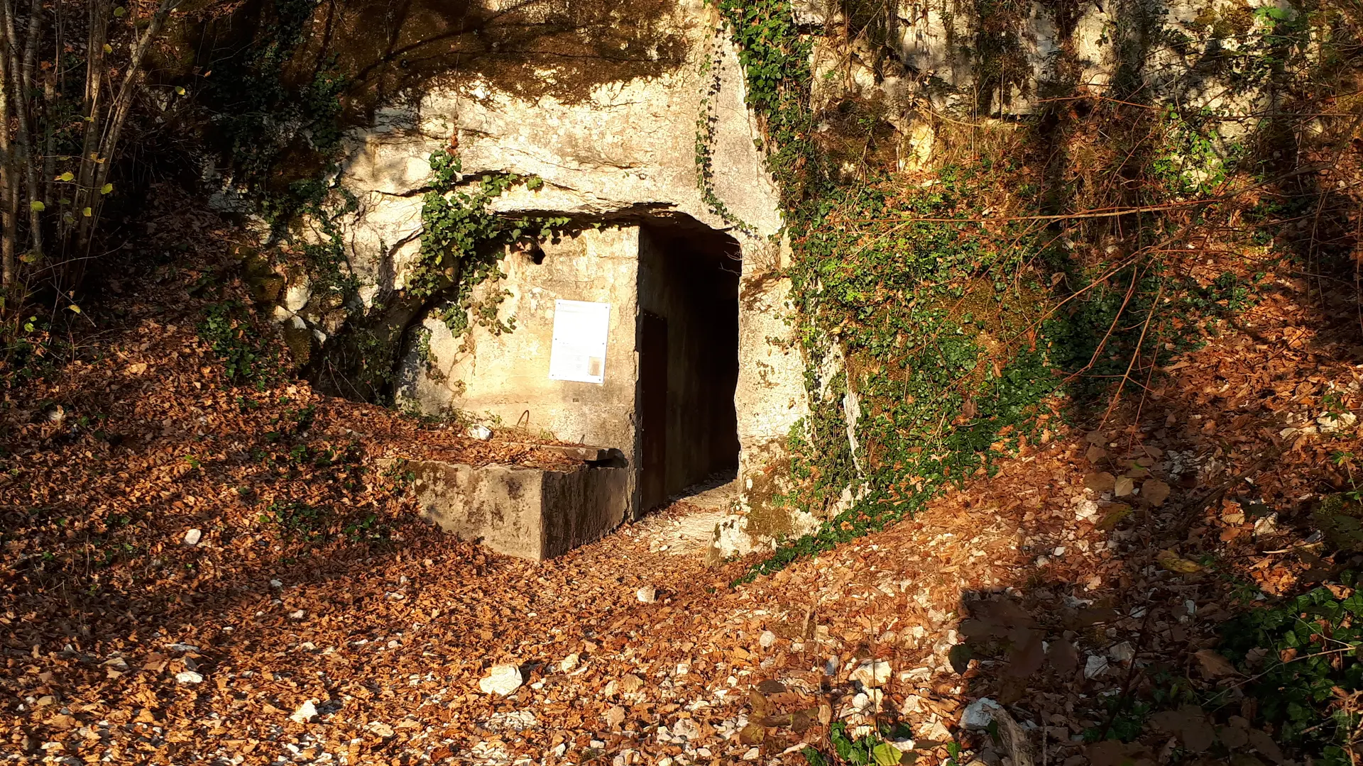 entrée de l'aqueduc de Briord en automne