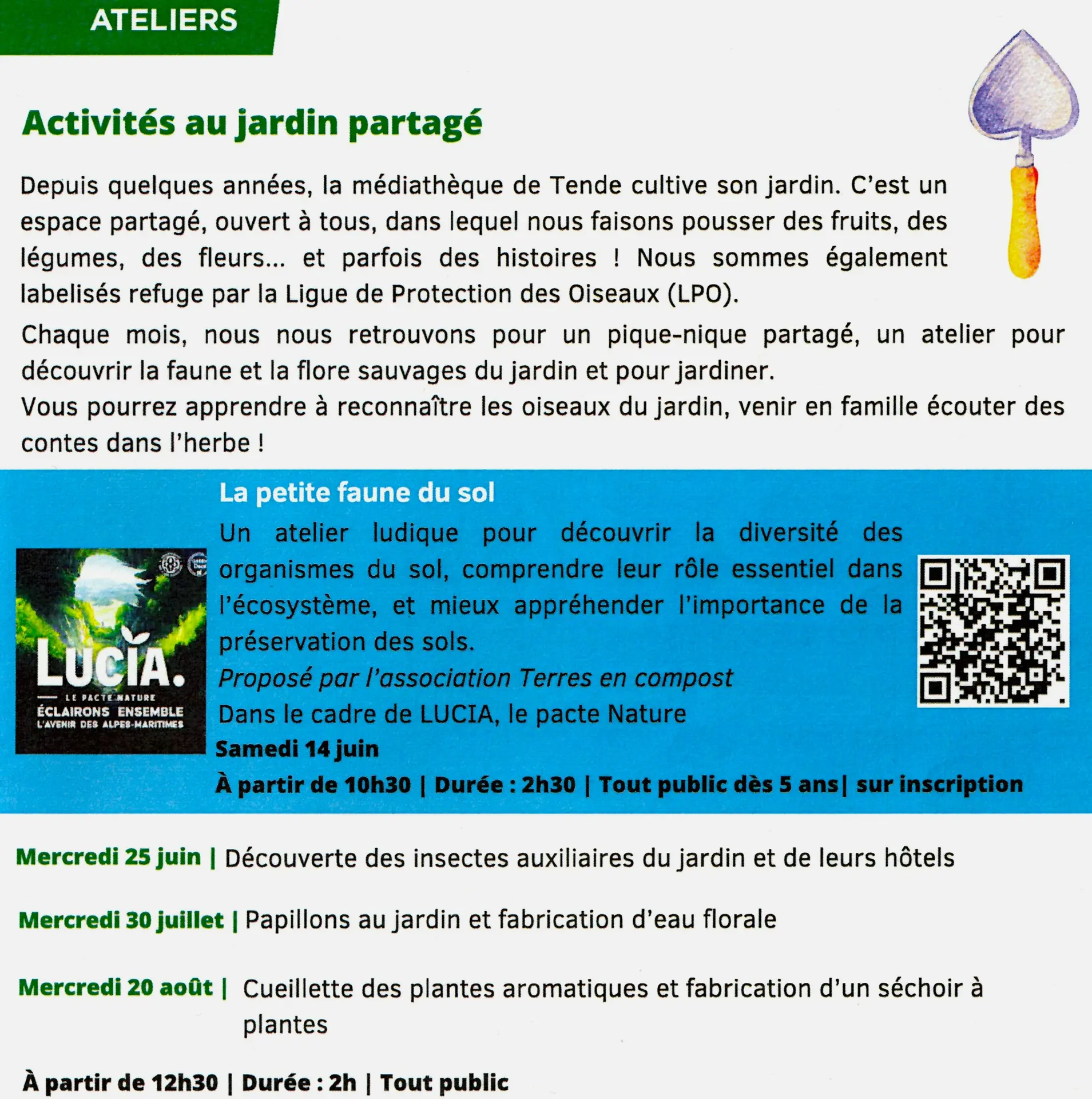 Activités au jardin partagé