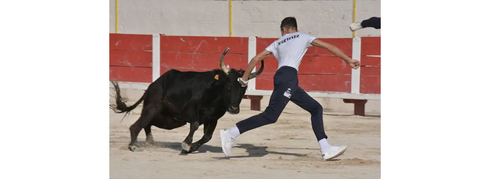 Course camarguaise : École de raseteurs