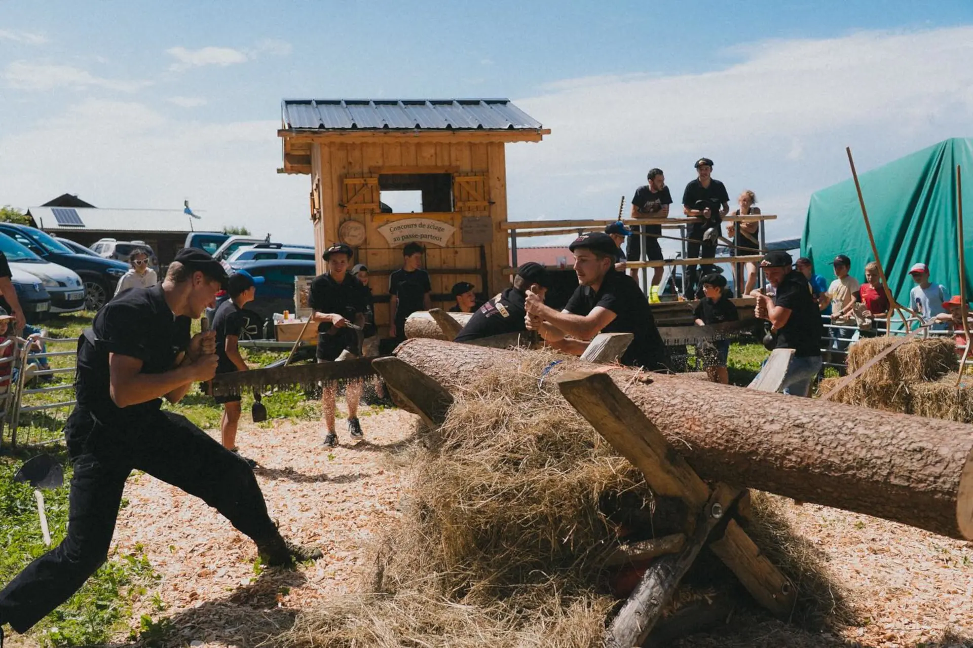Concours sciage au passe-partout