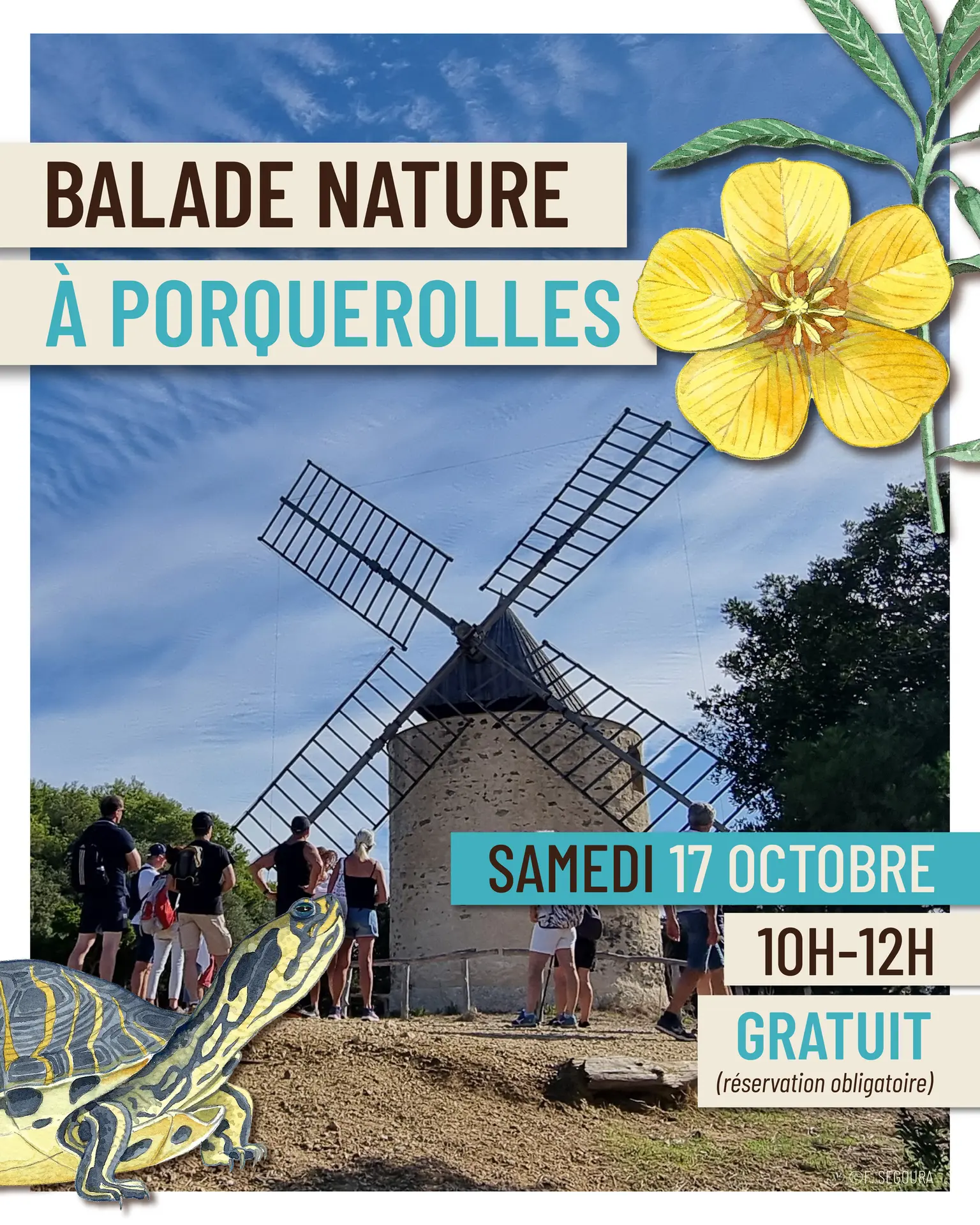 Balade nature à Porquerolles - Faune et flore d'ici... et d'ailleurs_Hyères