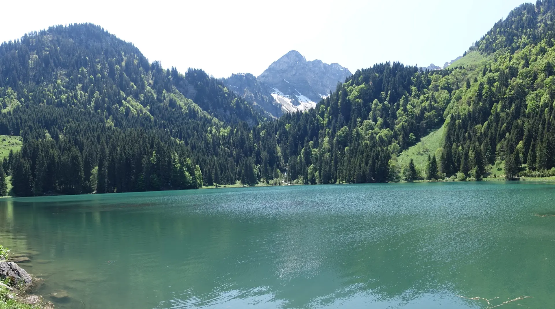 Lake edge
