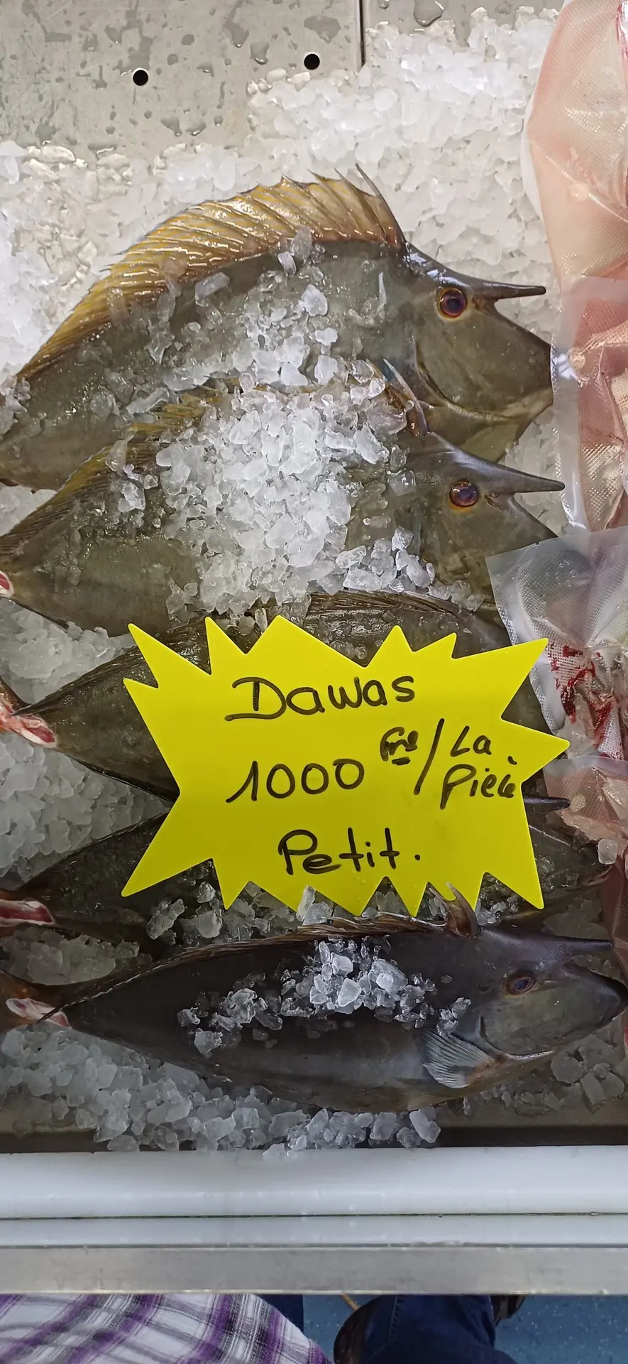 Dawas - Marché de Voh
