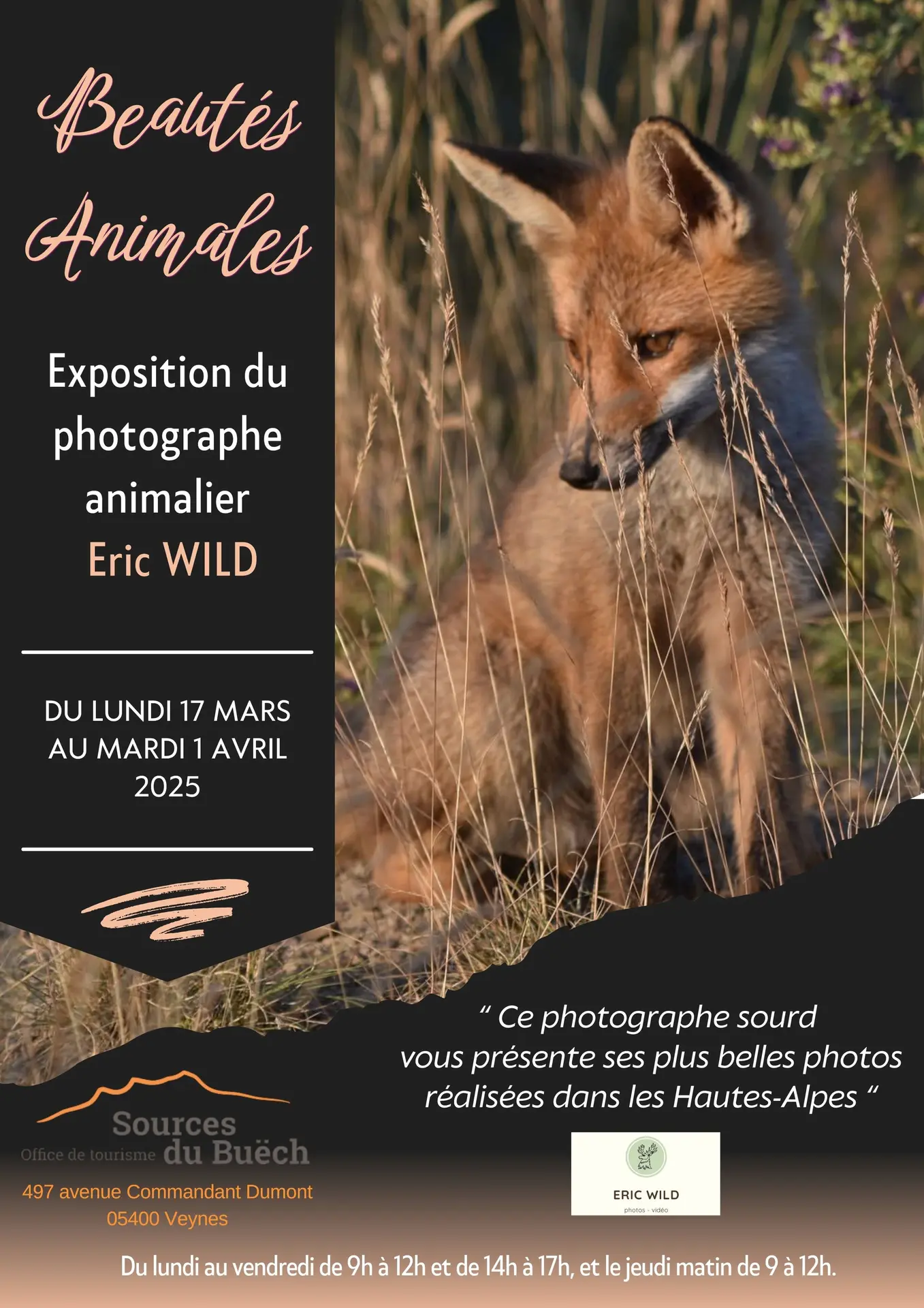 Exposition photos : Beautés animales_Veynes