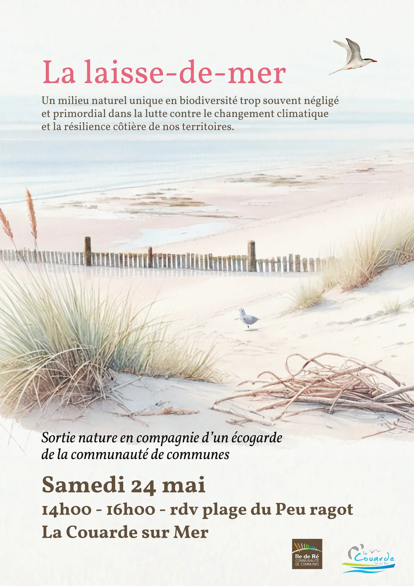 Sortie nature avec les écogardes_La Couarde-sur-Mer