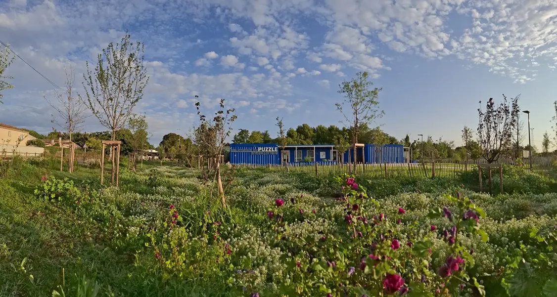 Visite guidée de la forêt enchantée_Avignon